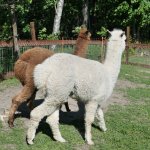phoca_thumb_m_horeky  25 Fotogalerie